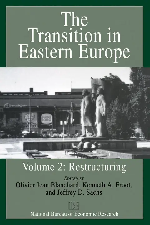 Cover of Transition in Eastern Europe V 2