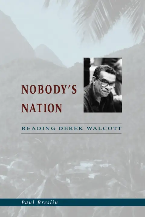 Cover of Nobody's Nation