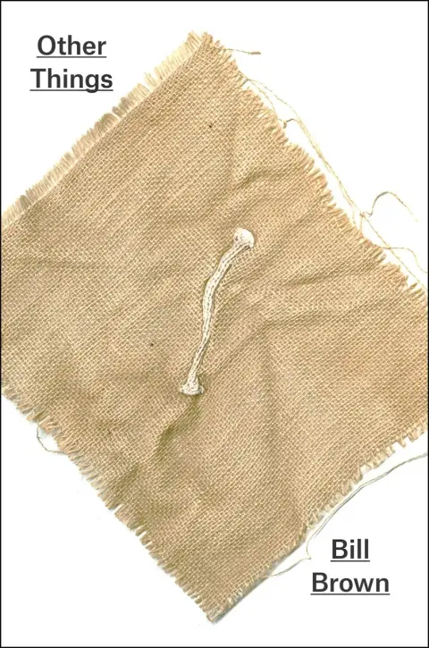Cover of Other Things