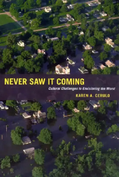 Cover of Never Saw It Coming