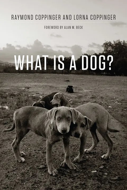 Cover of What Is a Dog?