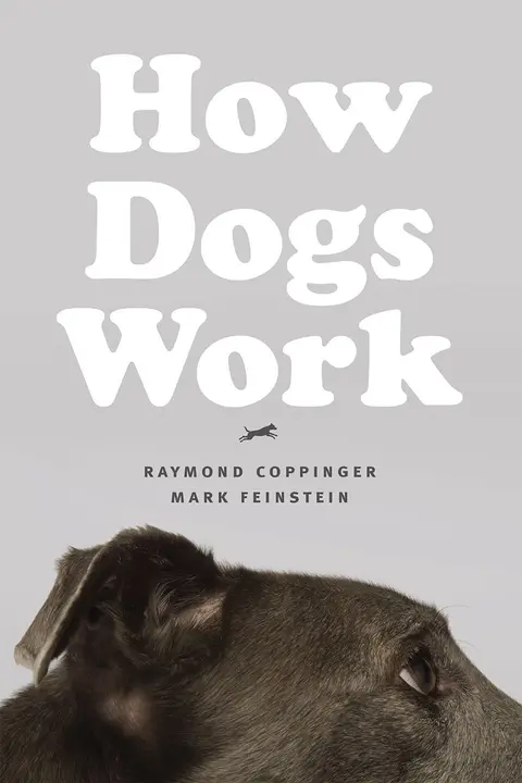 Cover of How Dogs Work