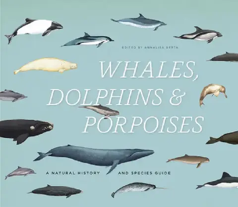 Cover of Whales, Dolphins & Porpoises