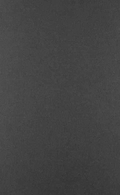 Cover of Everyday Troubles