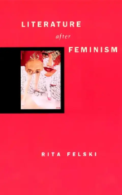 Cover of Literature After Feminism
