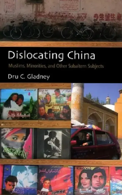 Cover of Dislocating China