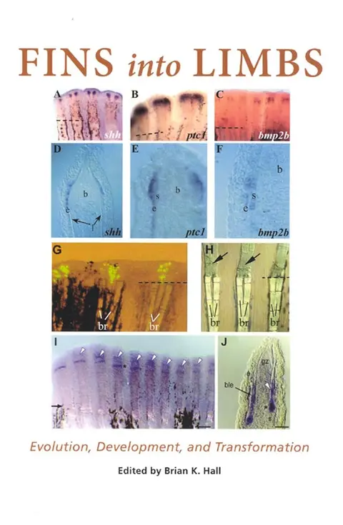 Cover of Fins into Limbs – Evolution, Development and Transformation