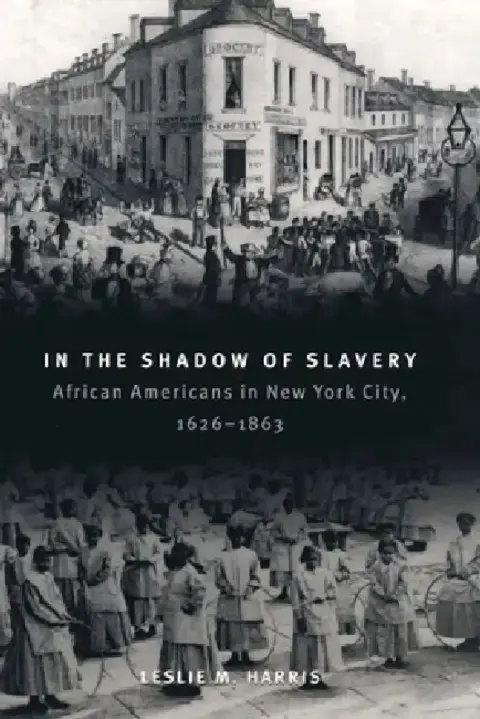 Cover of In the Shadow of Slavery
