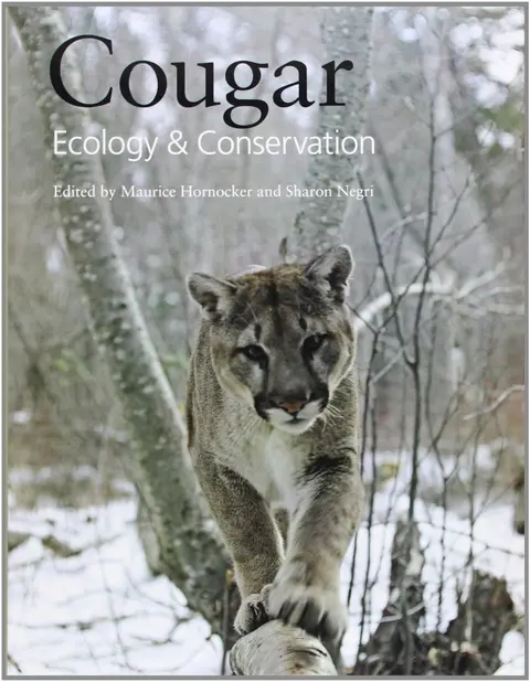 Cover of Cougar