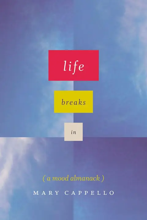 Cover of Life Breaks in