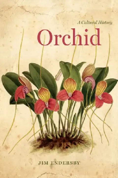 Cover of Orchid
