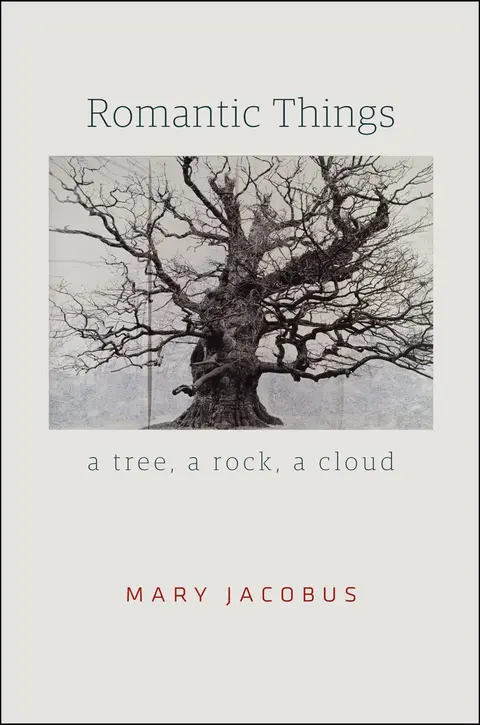 Cover of Romantic Things – A Tree, a Rock, a Cloud