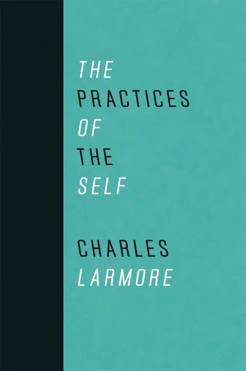 Cover of The Practices of the Self