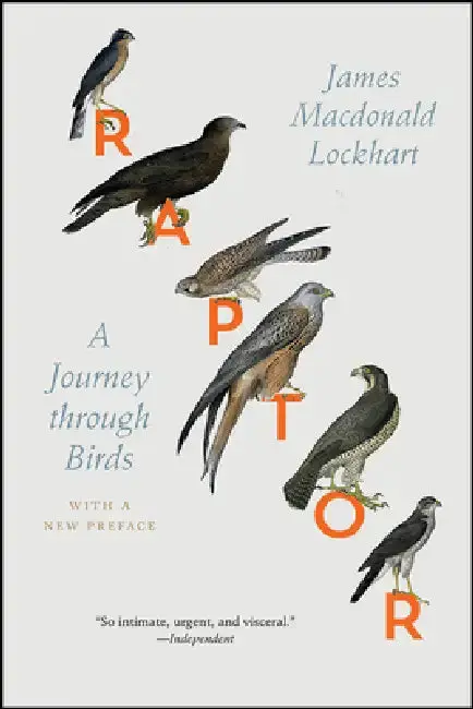 Cover of Raptor