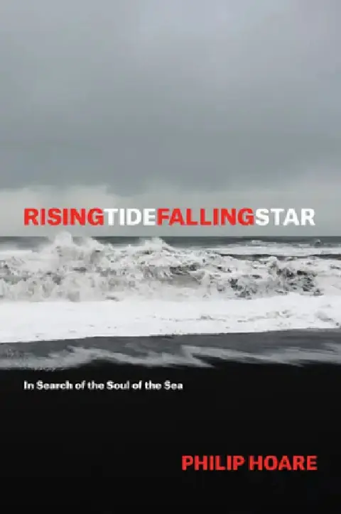 Cover of Risingtidefallingstar