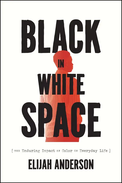 Cover of Black in White Space