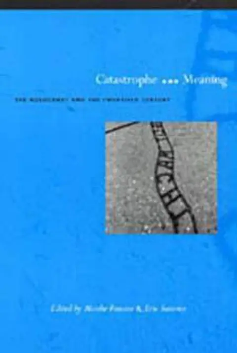Cover of Catastrophe and Meaning