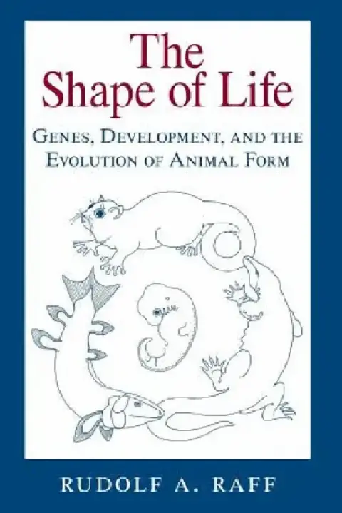 Cover of The Shape of Life