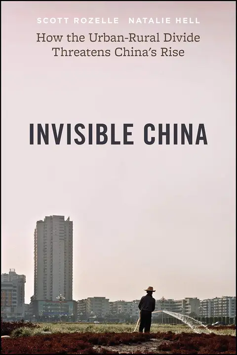 Cover of Invisible China