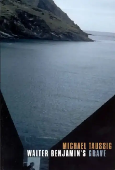 Cover of Walter Benjamin's Grave
