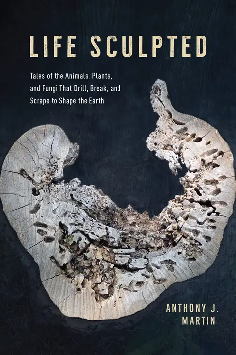 Cover of Life Sculpted