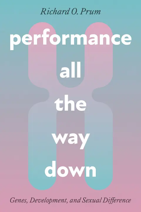 Cover of Performance All the Way Down