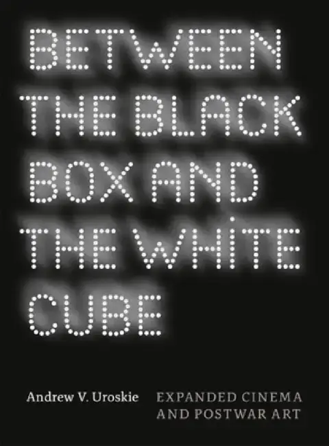 Cover of Between the Black Box and the White Cube