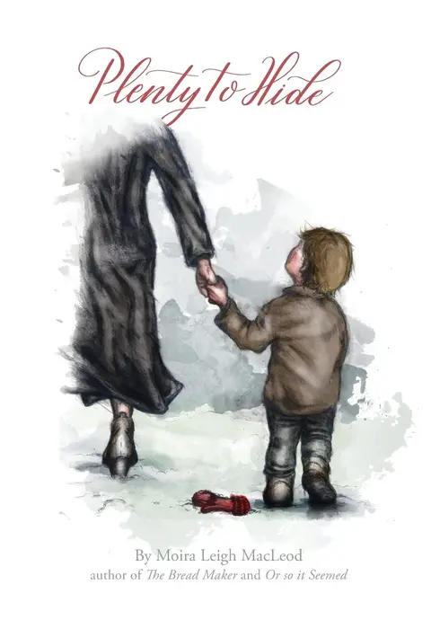Cover of Plenty to Hide
