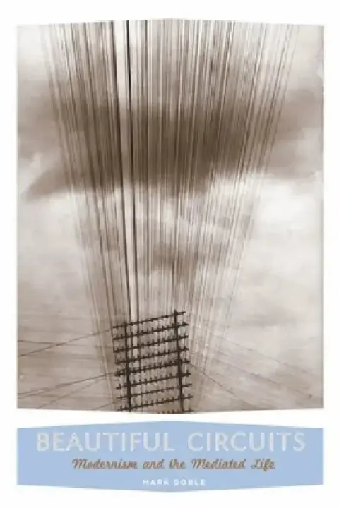 Cover of Beautiful Circuits