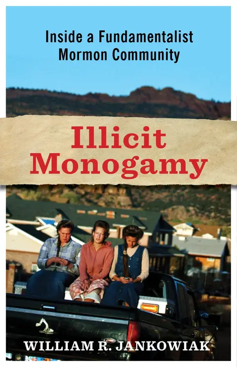 Cover of Illicit Monogamy