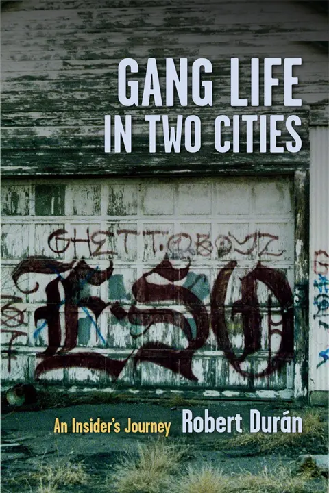 Cover of Gang Life in Two Cities