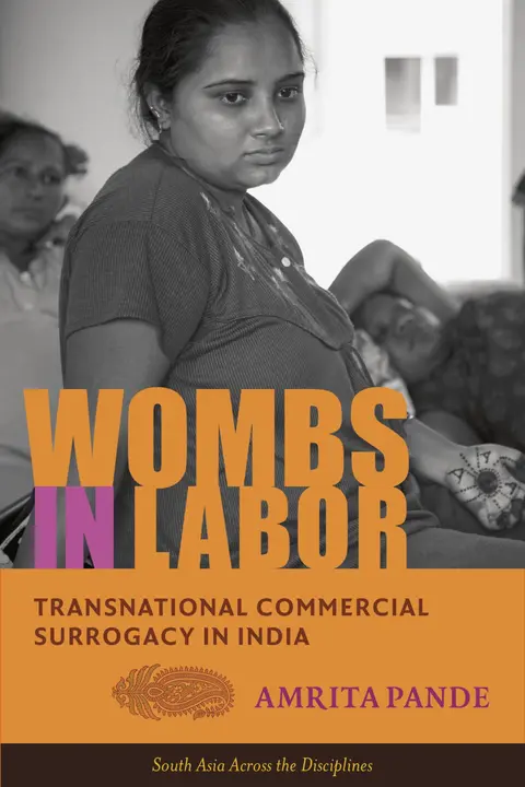 Cover of Wombs in Labor