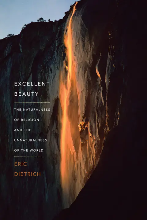 Cover of Excellent Beauty