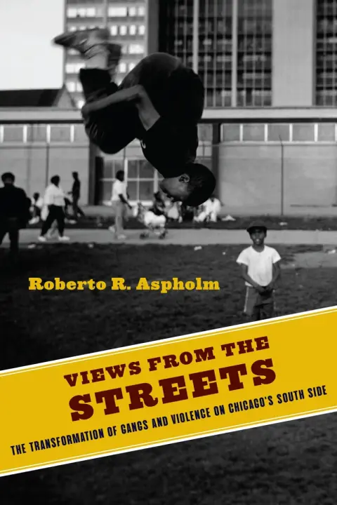 Cover of Views from the Streets