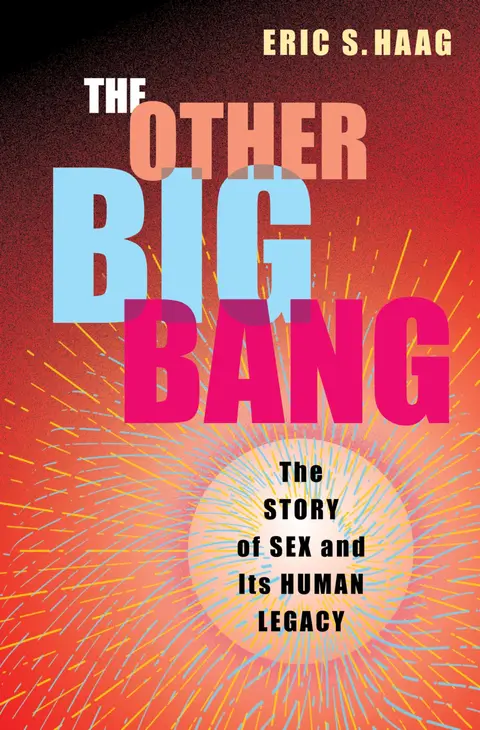 Cover of The Other Big Bang