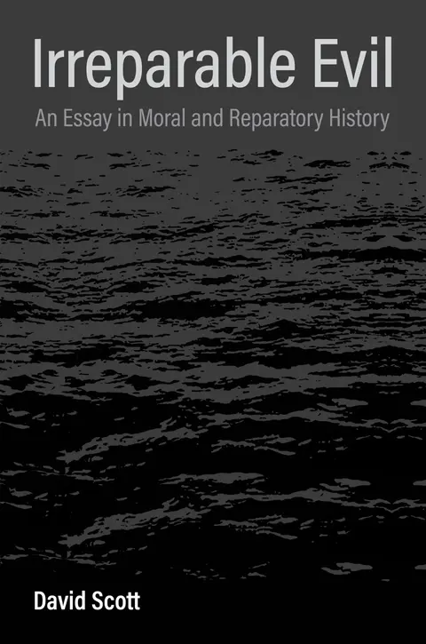 Cover of Irreparable Evil