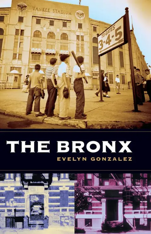 Cover of The Bronx