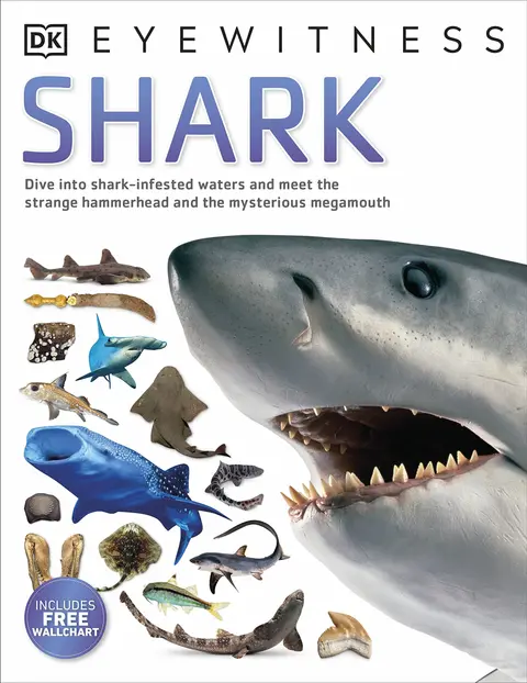 Cover of Shark