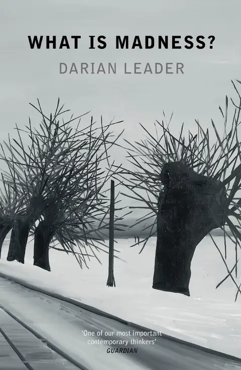 Cover of What is Madness?