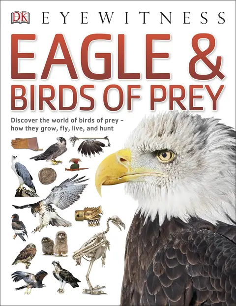 Cover of Eagle & Birds of Prey