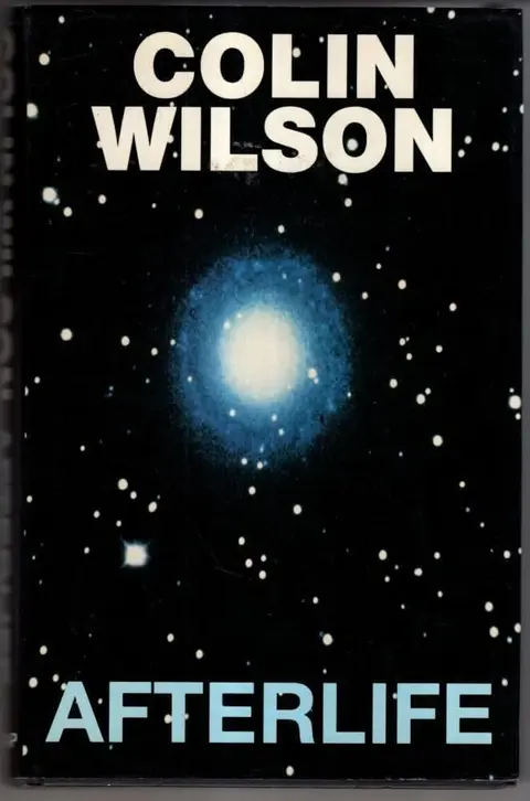Cover of Afterlife
