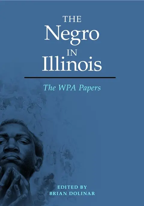 Cover of The Negro in Illinois
