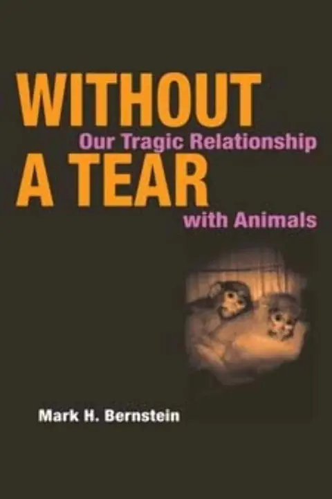 Cover of Without a Tear