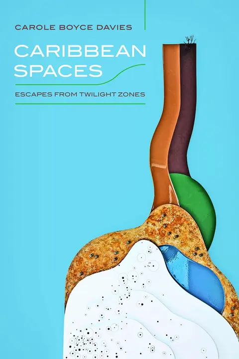 Cover of Caribbean Spaces