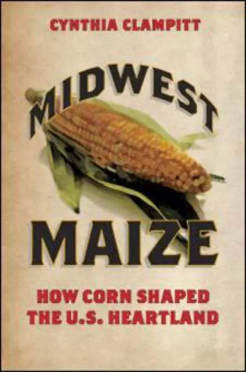 Cover of Midwest Maize