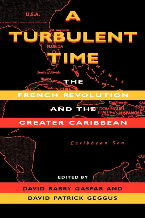 Cover of A Turbulent Time