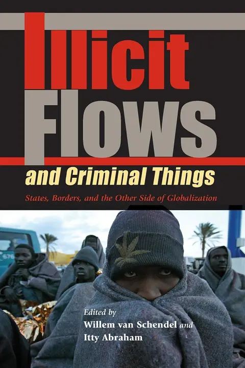 Cover of Illicit Flows and Criminal Things