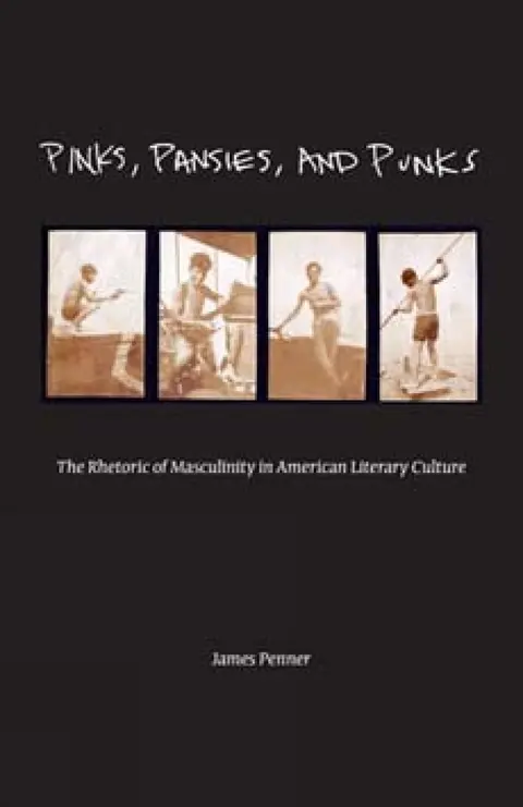 Cover of Pinks, Pansies, and Punks