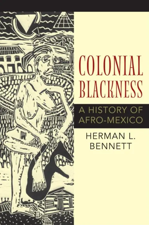 Cover of Colonial Blackness