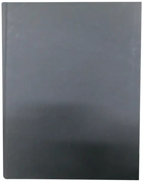 Cover of Foundational Issues in Human Brain Mapping